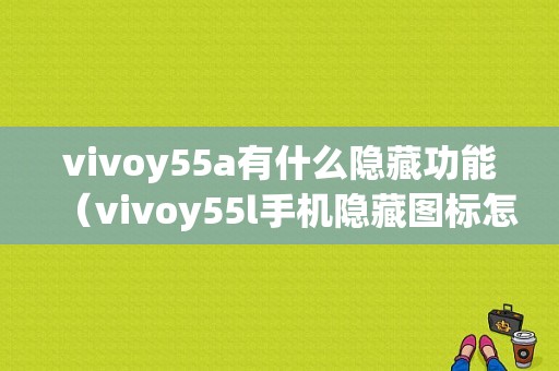 vivoy55a有什么隐藏功能（vivoy55l手机隐藏图标怎么设置）