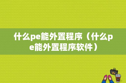 什么pe能外置程序（什么pe能外置程序软件）