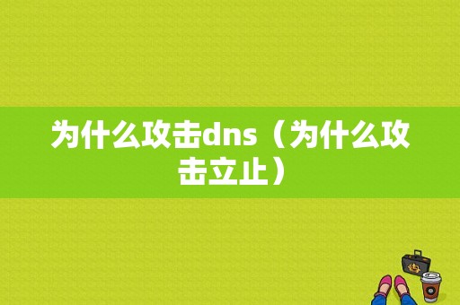 为什么攻击dns（为什么攻击立止）