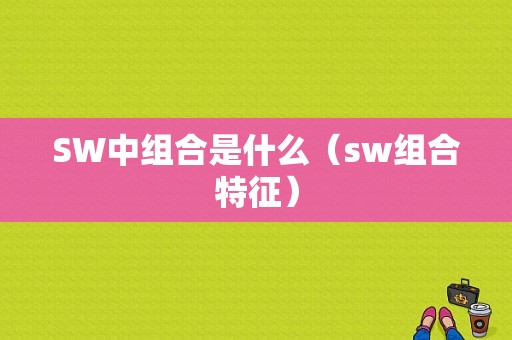 SW中组合是什么（sw组合特征）