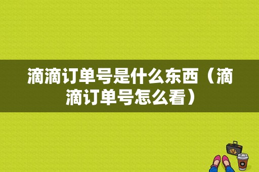 滴滴订单号是什么东西（滴滴订单号怎么看）