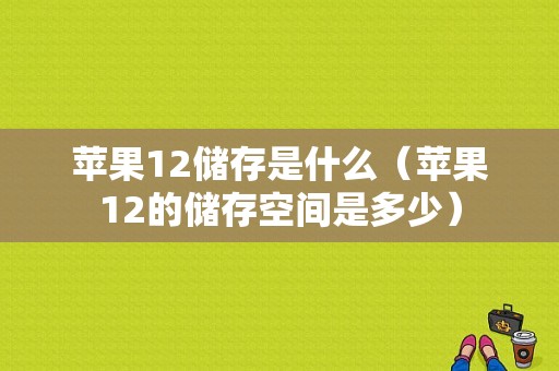 苹果12储存是什么（苹果12的储存空间是多少）