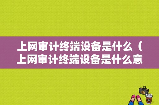 上网审计终端设备是什么（上网审计终端设备是什么意思）