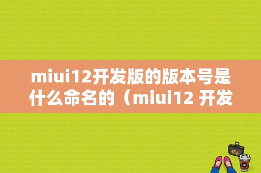 miui12开发版的版本号是什么命名的（miui12 开发版）