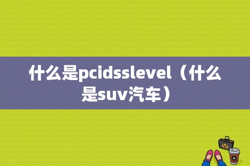 什么是pcidsslevel（什么是suv汽车）