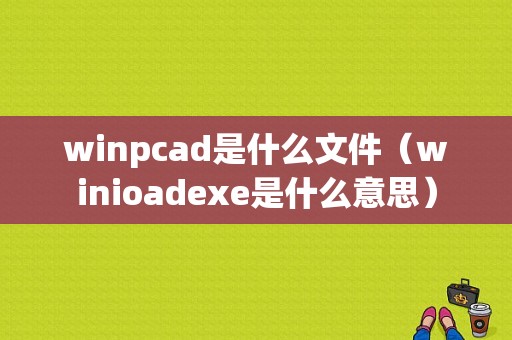 winpcad是什么文件（winioadexe是什么意思）