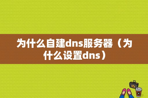 为什么自建dns服务器（为什么设置dns）