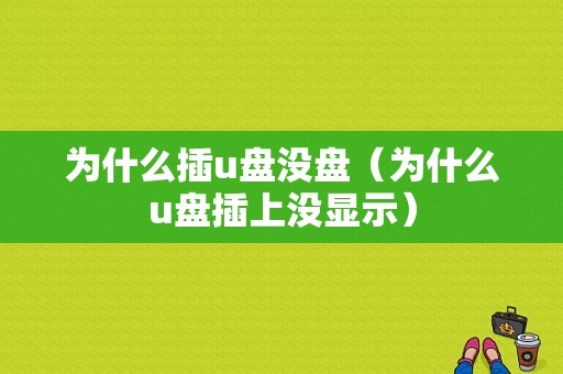 为什么插u盘没盘（为什么u盘插上没显示）