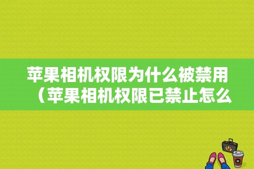 苹果相机权限为什么被禁用（苹果相机权限已禁止怎么开启相机权限）