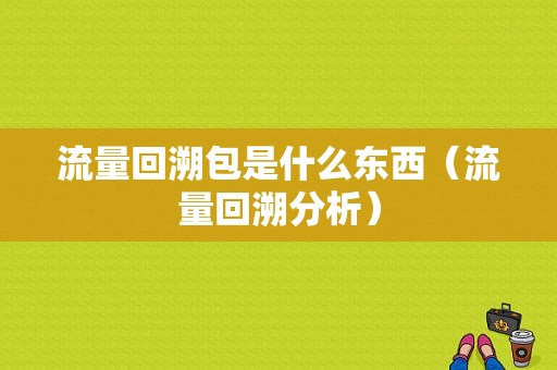 流量回溯包是什么东西（流量回溯分析）