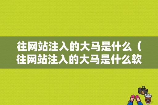 往网站注入的大马是什么（往网站注入的大马是什么软件）