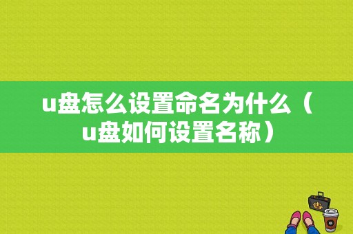 u盘怎么设置命名为什么（u盘如何设置名称）