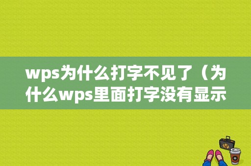 wps为什么打字不见了（为什么wps里面打字没有显示）