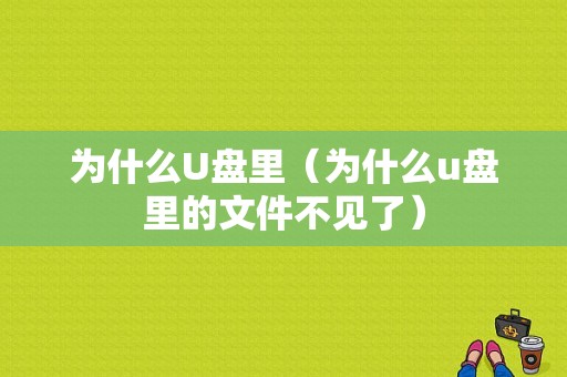 为什么U盘里（为什么u盘里的文件不见了）