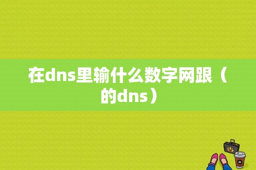 在dns里输什么数字网跟（的dns）